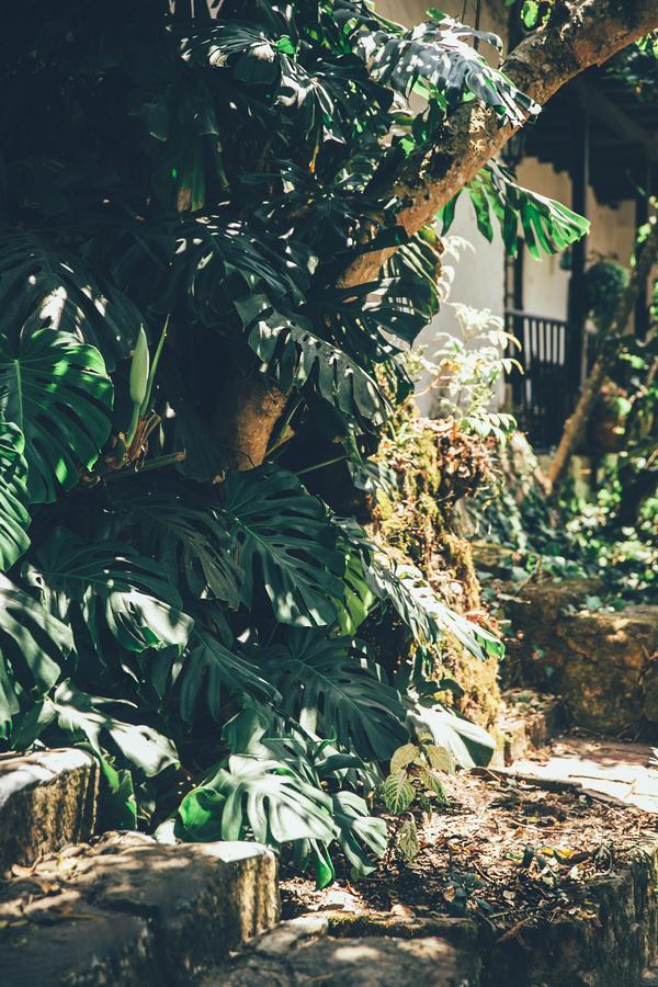 Hotel Hacienda Baza Tibana المظهر الخارجي الصورة